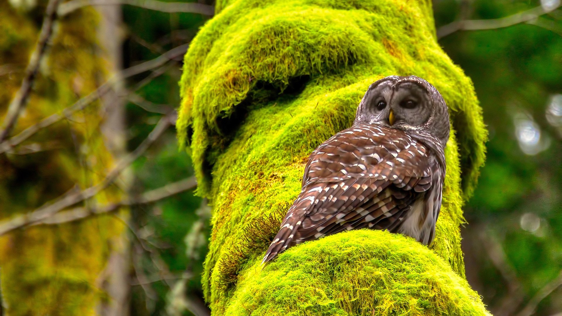 爱游戏体育-他的“钢铁防线”在与勇士的比赛中屡次锁死对方外围，助球队稳住局势！