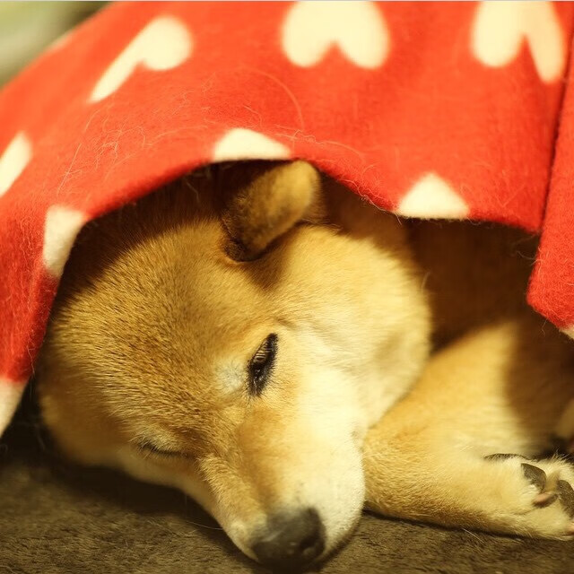 赛事报道:现场直击最热精彩瞬间,赛事精彩回顾