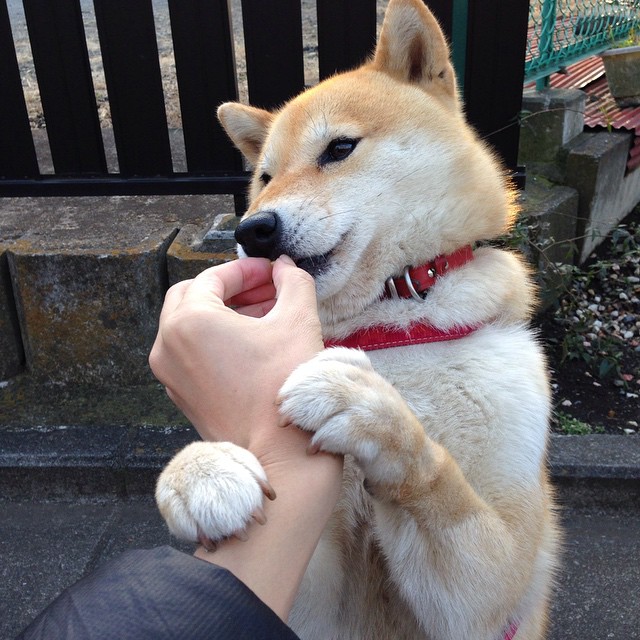 巴塞罗那主场再遭惨败,坐稳小组垫底,巴塞罗那主场容量