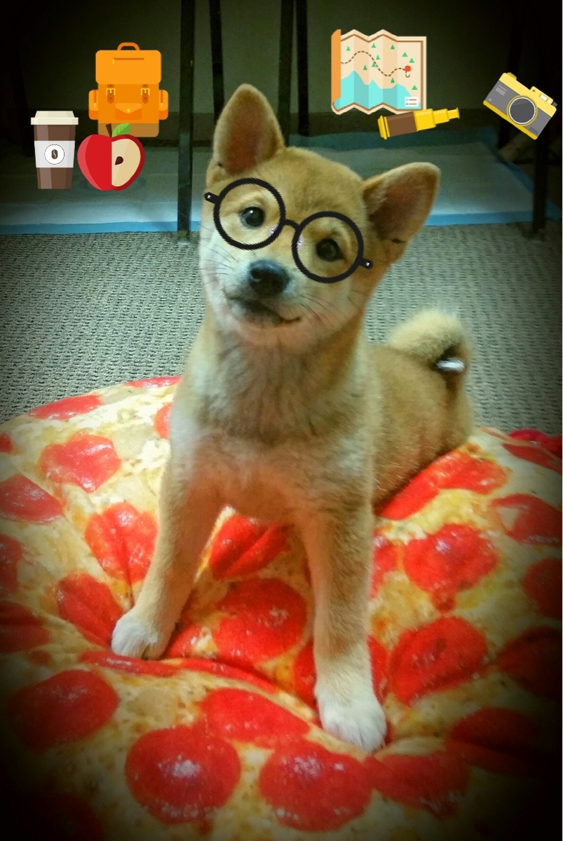 步行者队进攻节奏进一步加快,步行者队比赛