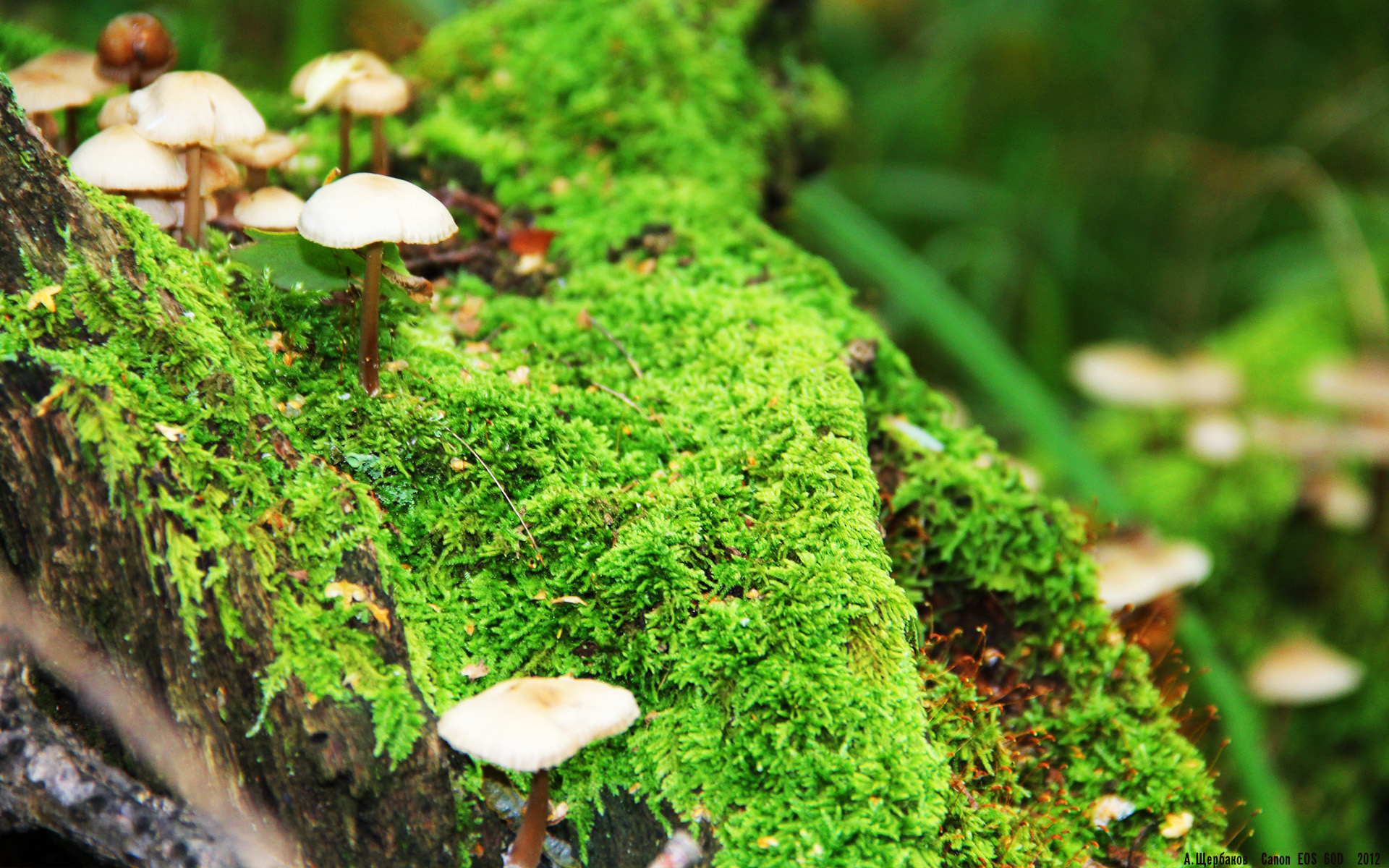 爱游戏在线娱乐官网-马竞客场1-1战平皇家社会，积分榜领先优势扩大，马竞vs皇家马德里