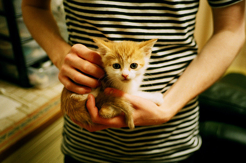 国足中前场协同评分系统架构设计,足球中前场