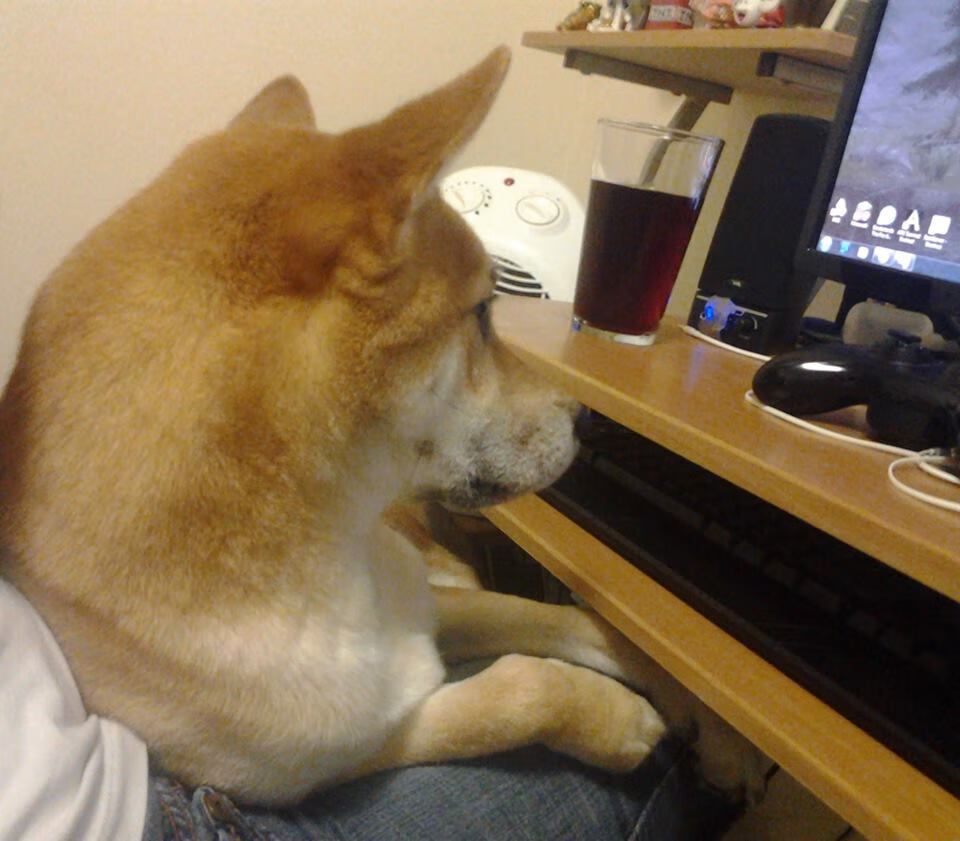 英超比赛中通过语言声调建模识别裁判指令的紧急等级,英超 裁判