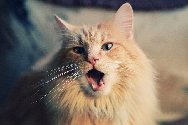 AYX体育-中小学体育设施改善明显，中小学体育设施向公众开放