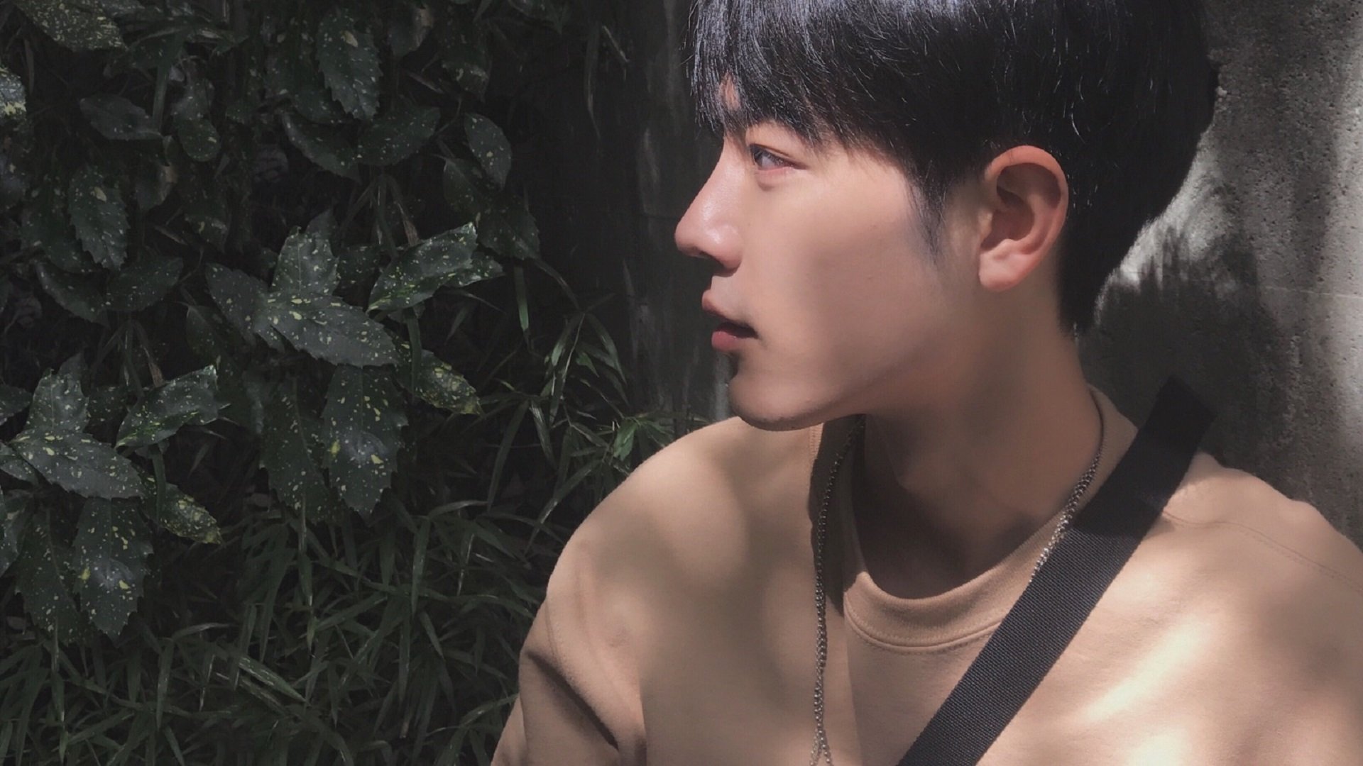 新西兰全黑队的经验和实力,仍是橄榄球锦标赛的核心竞争力,新西兰全黑队宣传视频