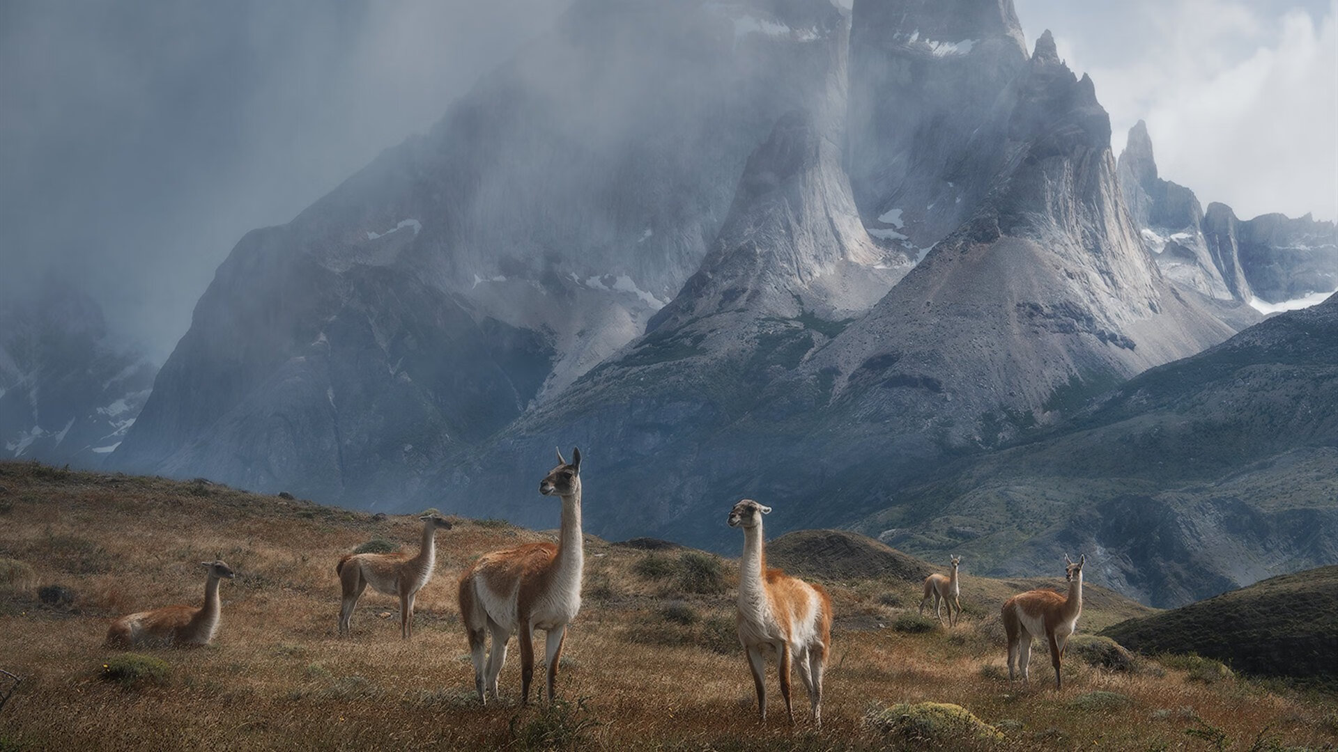 AYX SPORTS-霍勒迪快攻策动全场雄鹿反击犀利，霍勒迪进攻